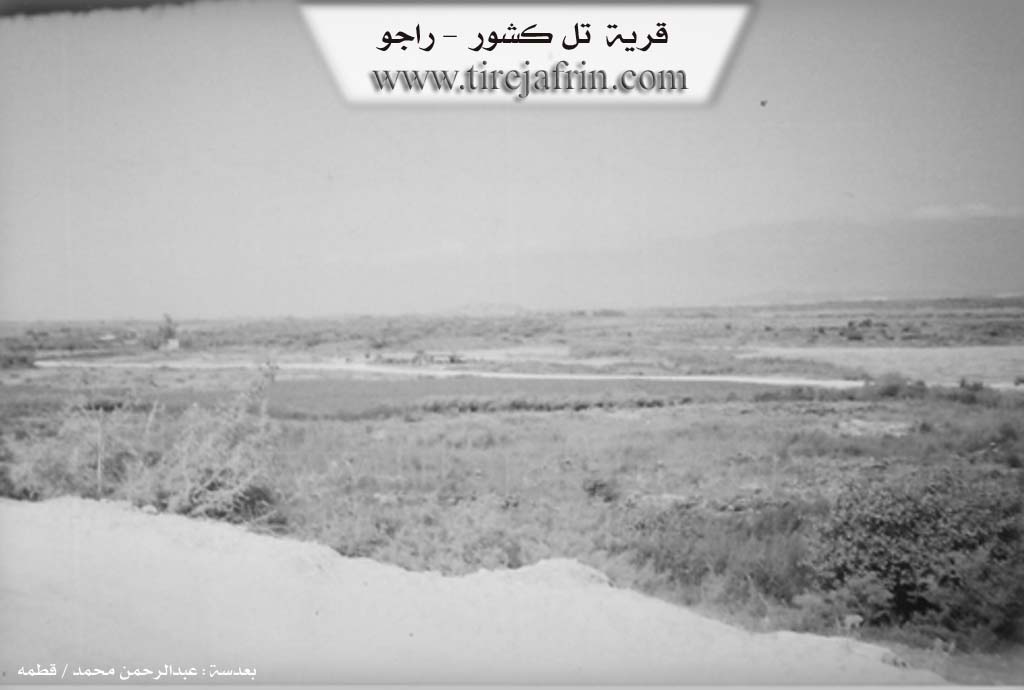 Photo of Tilî Kêşû